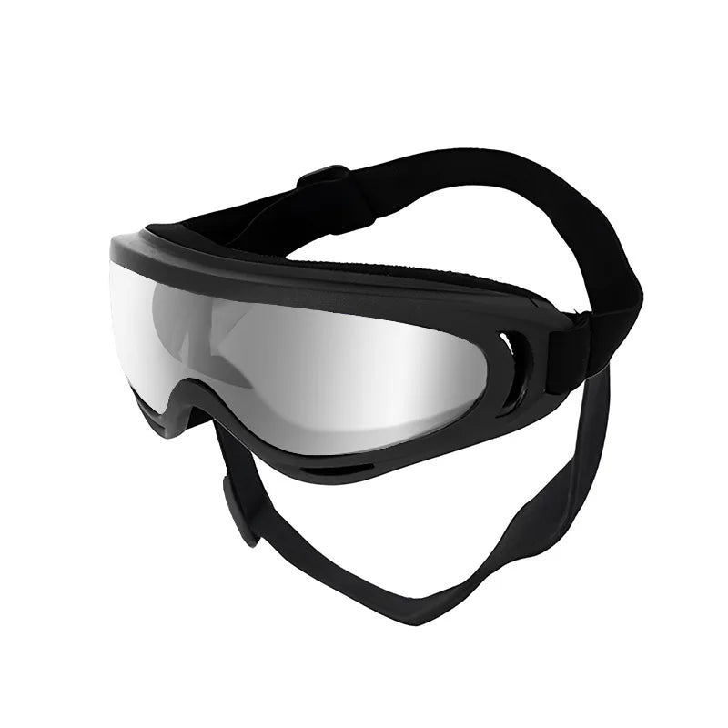 Dog Sunglasses