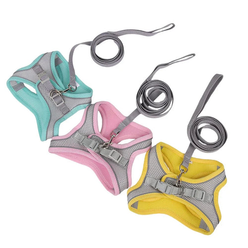 Dog Harness