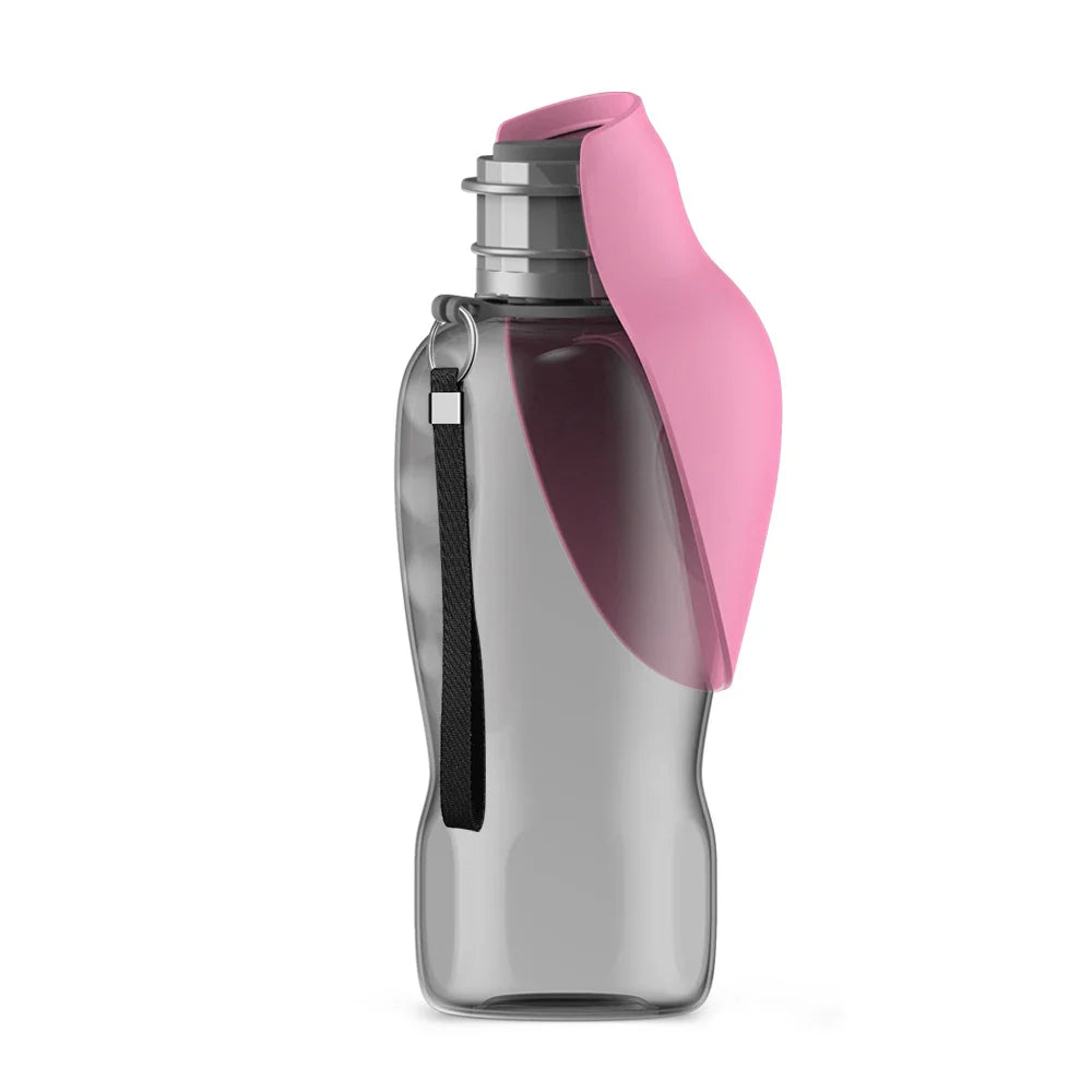 Travel Water Bottle