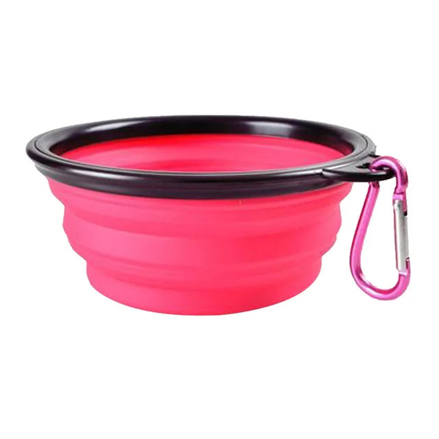 Foldable Bowl