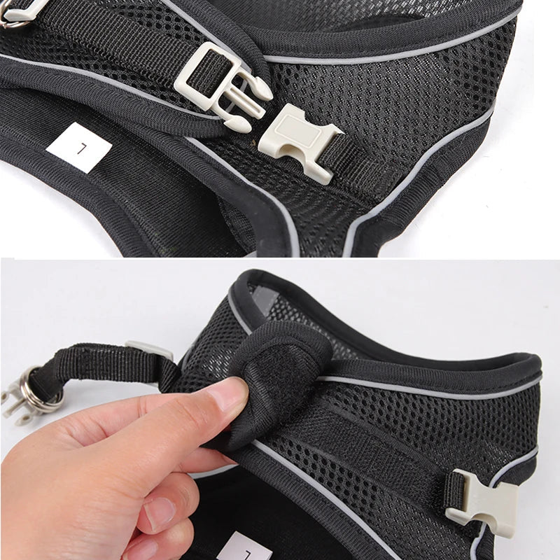 Dog Harness