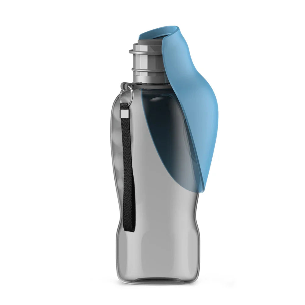 Travel Water Bottle