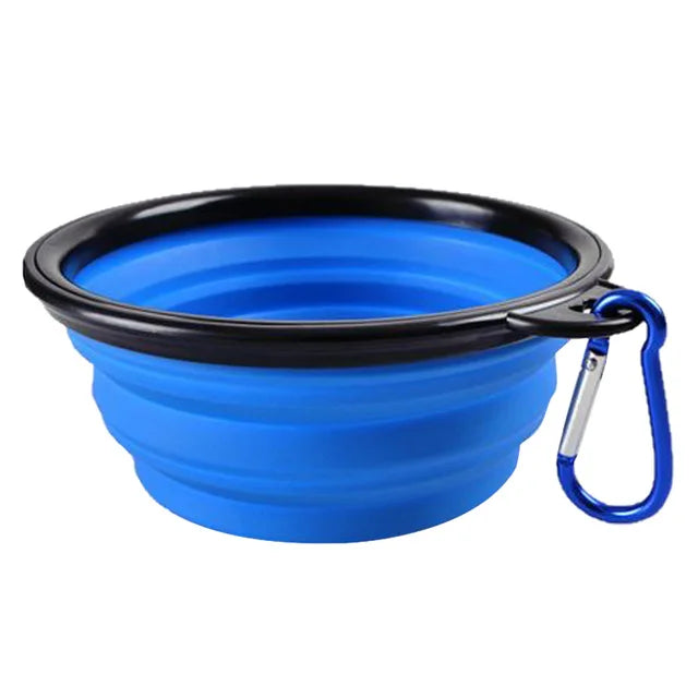 Foldable Bowl