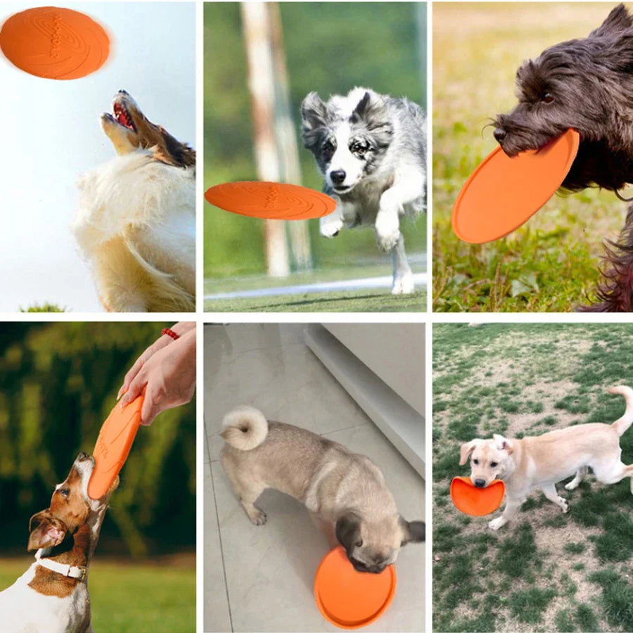 Flying Disc