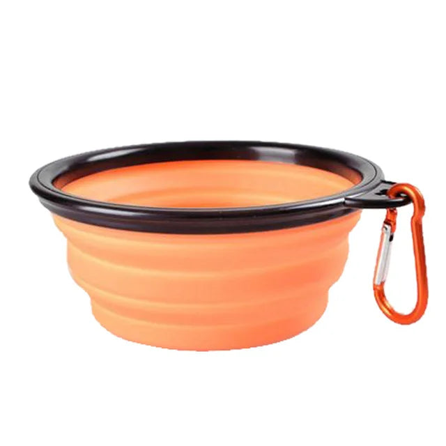 Foldable Bowl