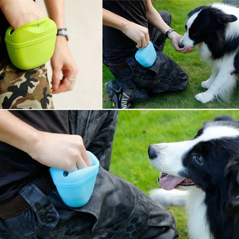 Treat Waist Bag