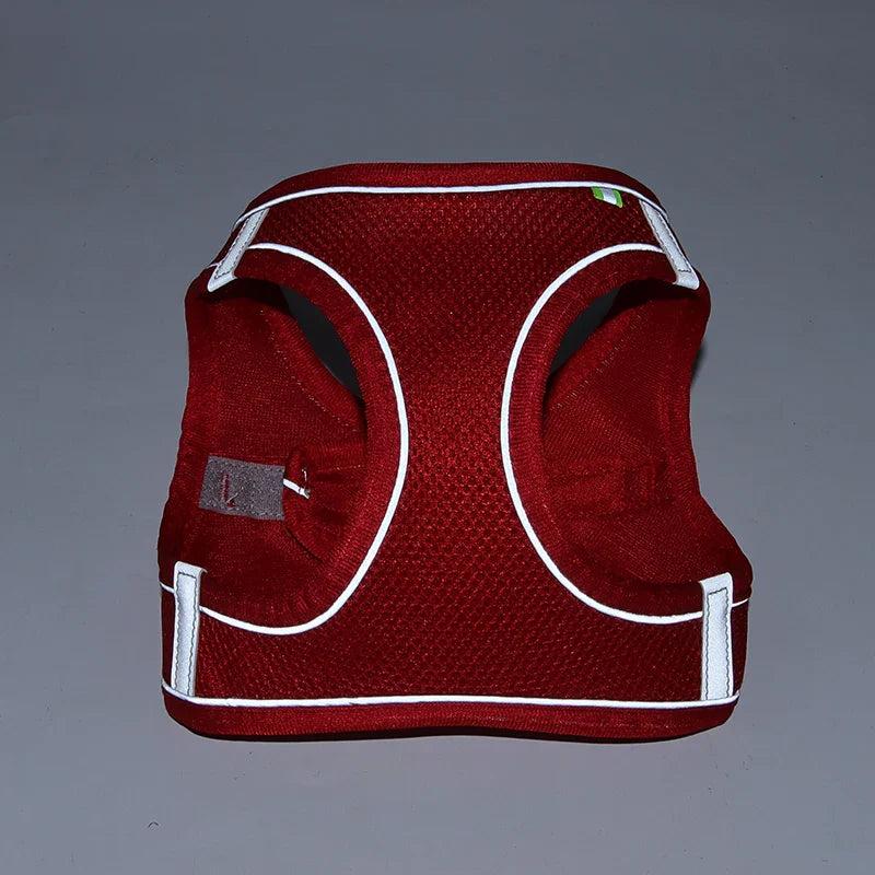 Dog Harness