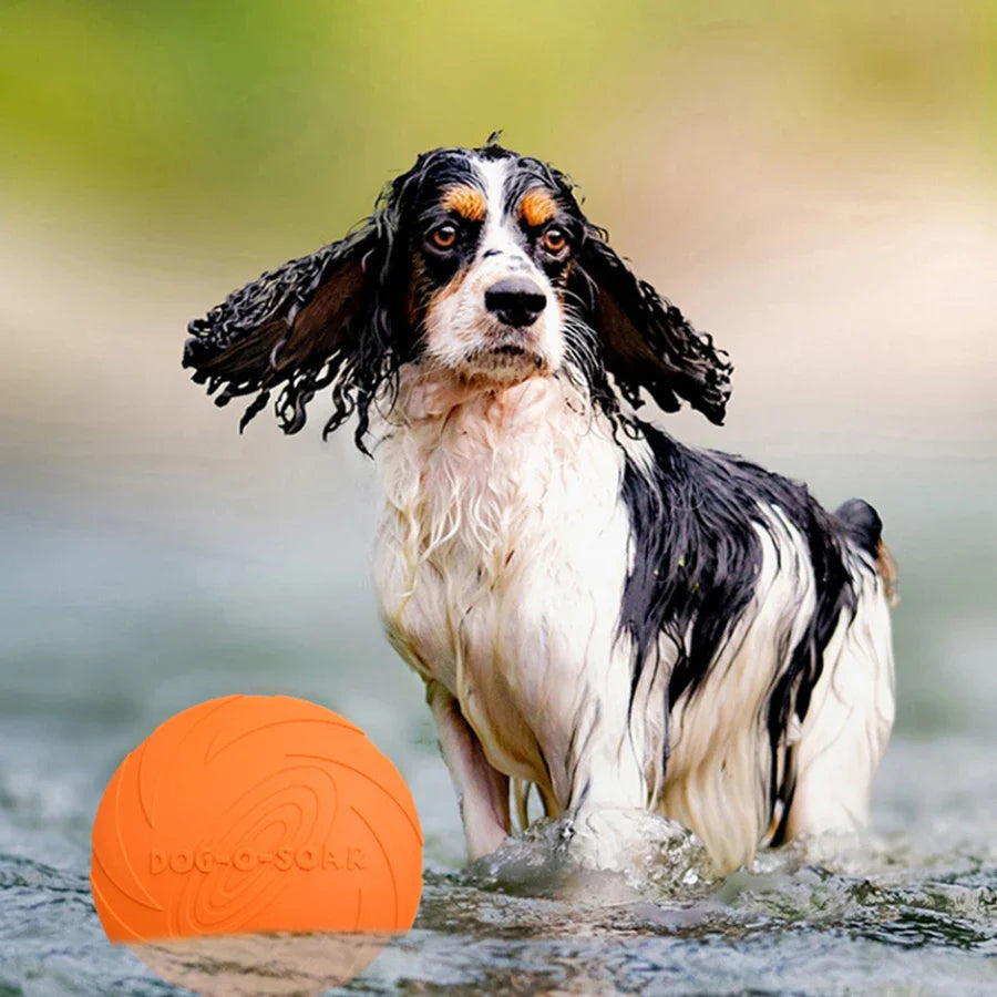 Flying Disc