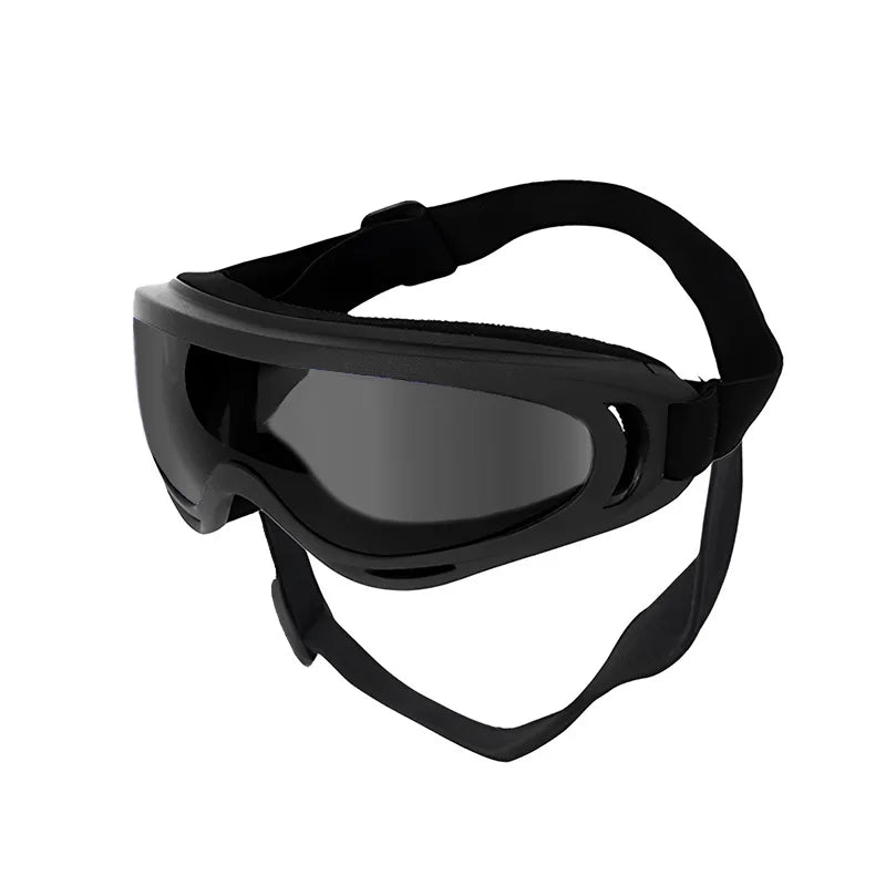 Dog Sunglasses